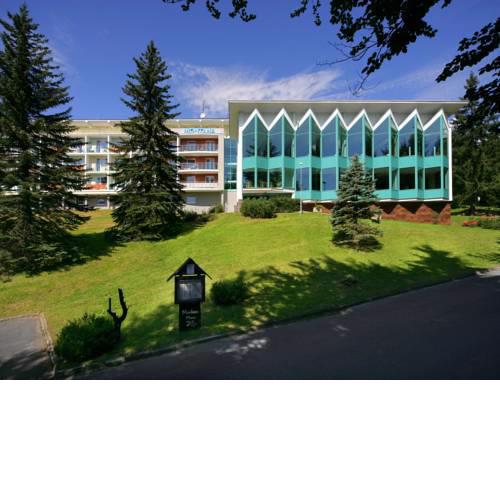 Interhotel Montana