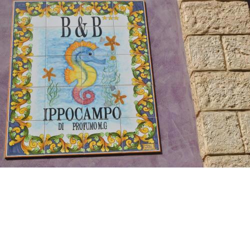 Ippocampo B&B