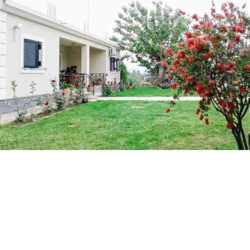 Irini's country house
