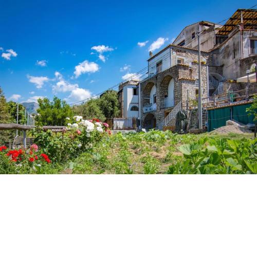 Ischia Room [Near Positano]