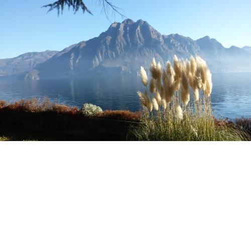 IseoLakeRental - Casa del Pescatore