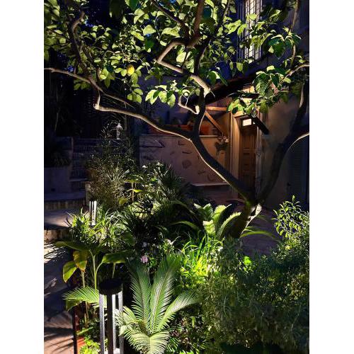 Isola Roger - Appartamento con giardino a Roma