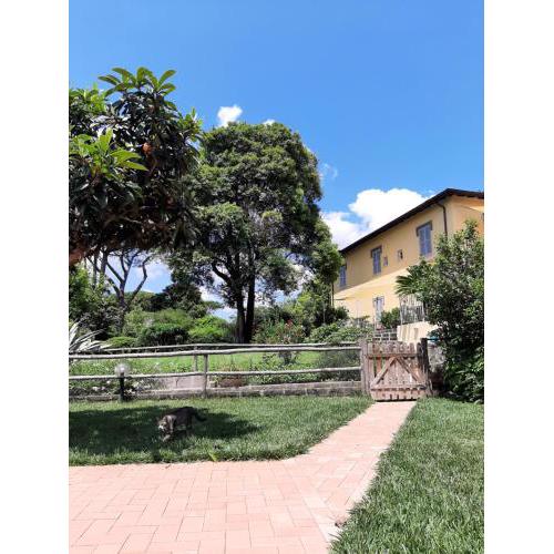 IV Casale Roma Country Villa