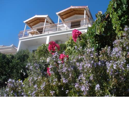 Jadran