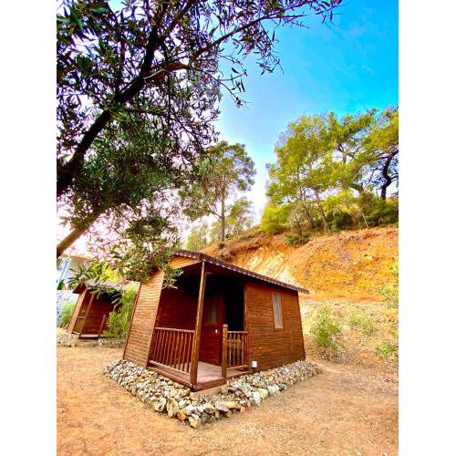 Jakop Bungalov Camping