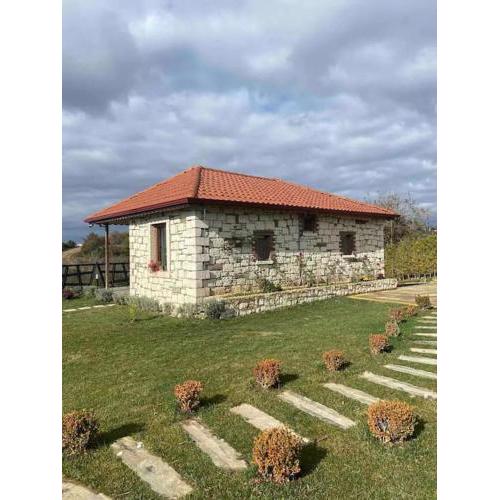 Jakuzili VEQNA Taşev
