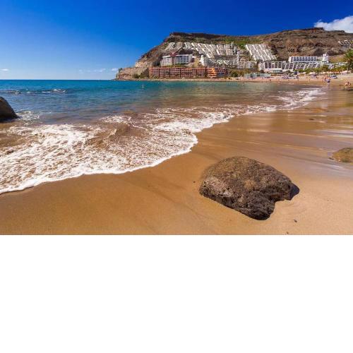 Jardín Paraíso Vibbecanarias Playa del Cura Mogan