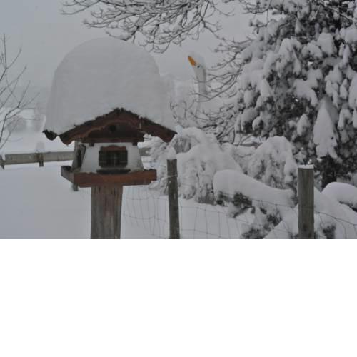 Jausenstation Vogelhütte