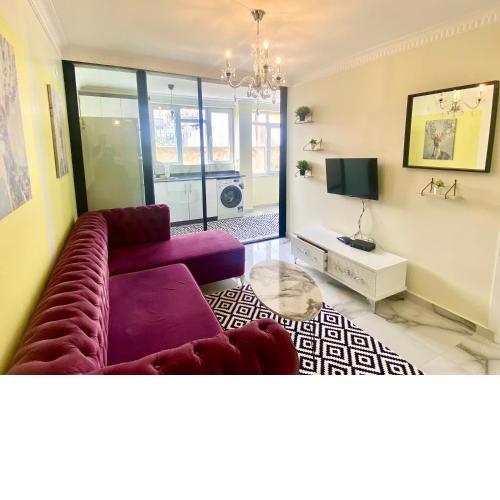 JAZZY SPECTACULAR HOMES 100 Mb Wi-Fi