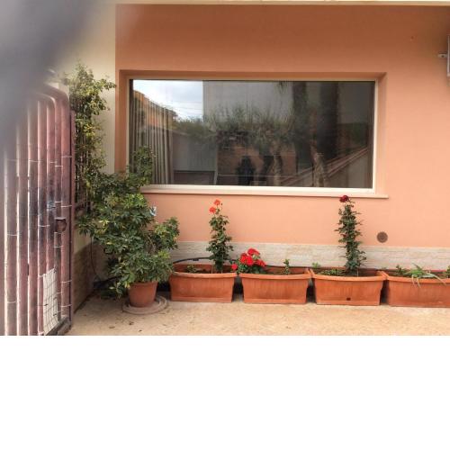 JDG CASA