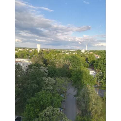 Juniperus Apartman 2