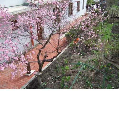Juraj's Outback Hostel