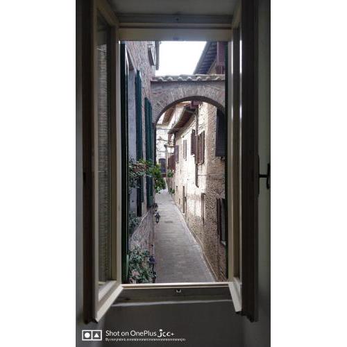 Kairos Montone