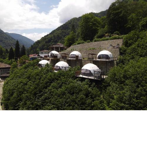 Kaledome Orman evleri