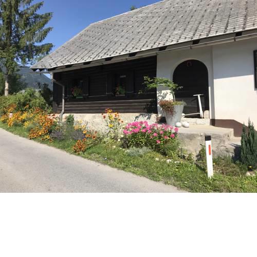 Kali rustic Bohinj house
