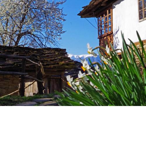 Karashka house