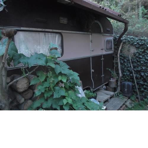Karavan v roští