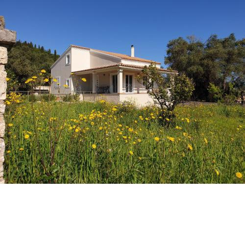 Kassiopi Central House