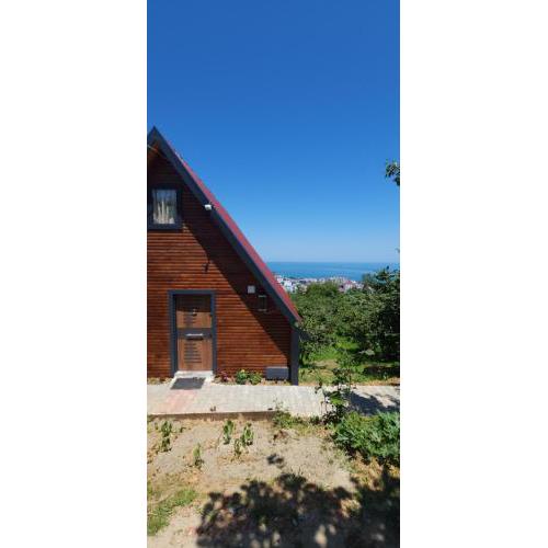 Kaşüstü Dağ Evi Bungalov