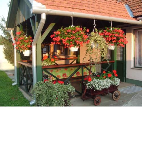 Katalin Apartman