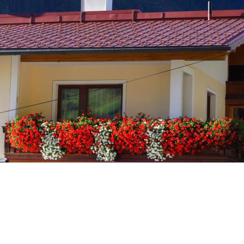 Kathrin Apartments - Kapplerhof