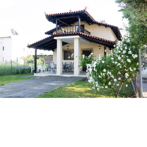 kazaplagia