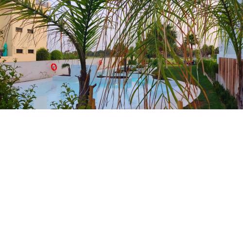 Kentia golf Playa Granada