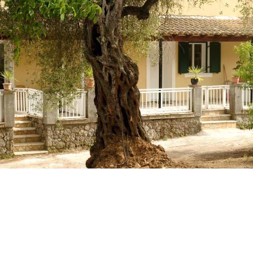 Kidonakia Apartments