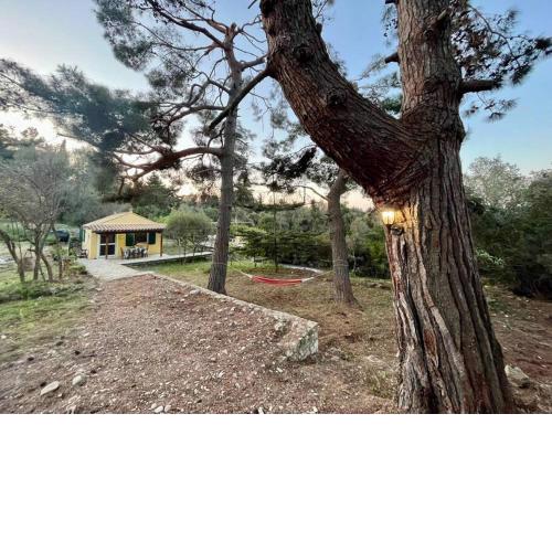 Kikis Cottage