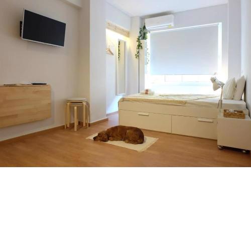 Kinfeels' downtown apartment B1