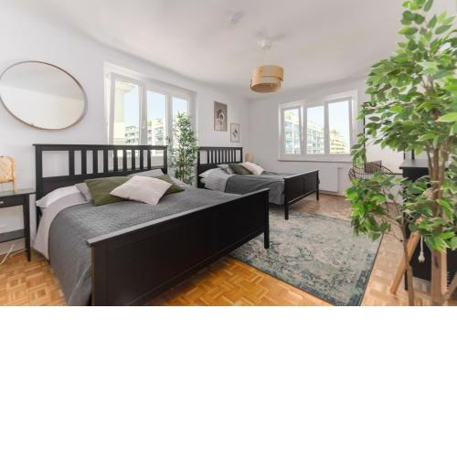 King bed home, 3 bed rooms, Ideal for groups of Ten, 16