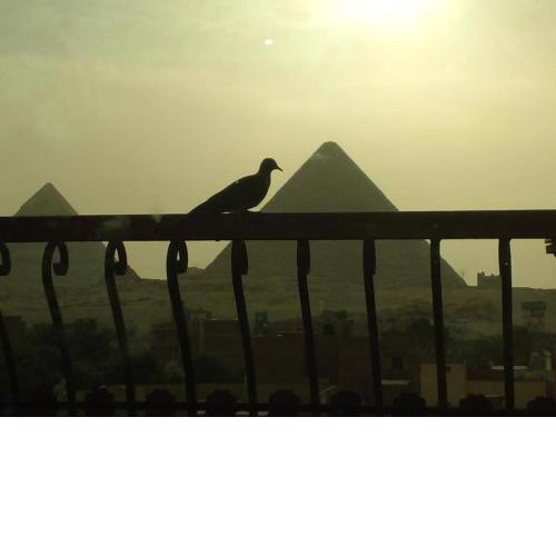 king ramses pyramids view apartment