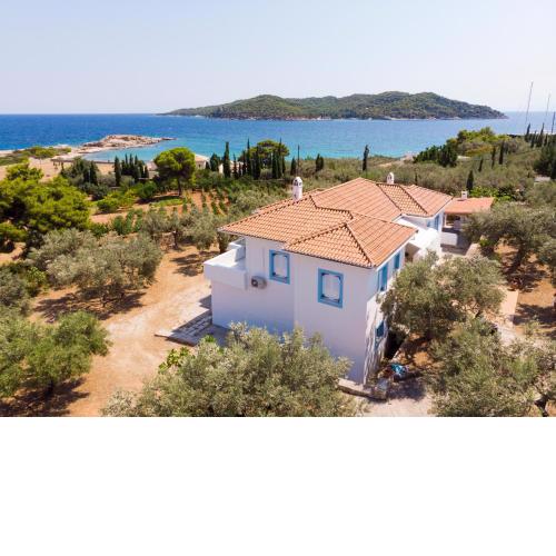 KIOUSIS ESTATE