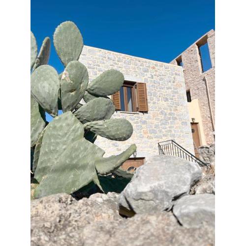 kir-Yiannis stonehouse @Areopoli