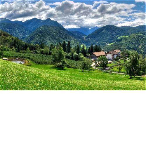 Koflhof Urlaub auf dem Bauernhof
