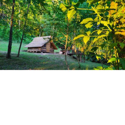Kolibe - Robinson camp Kupa