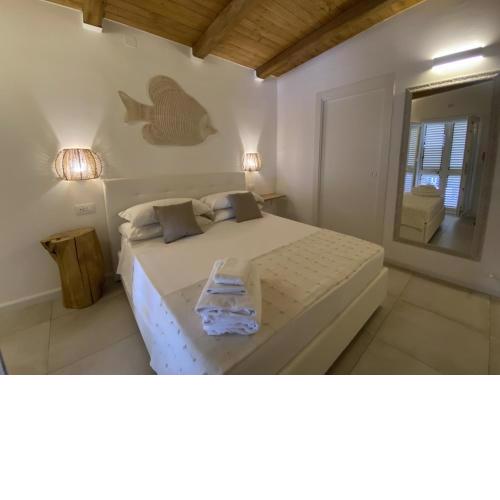 Koralline accommodation