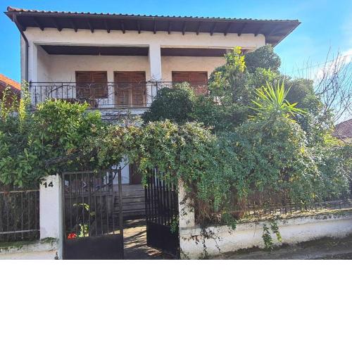 Kosta's House