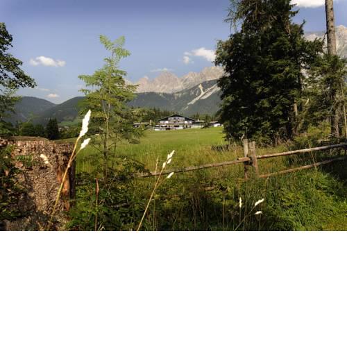 Kraftplatz am Dachstein - Bio Hotel Herold