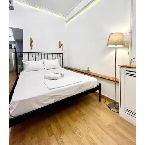 Ksenokratous-Kolonaki cozy apartment