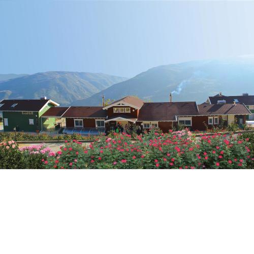 Ktima Noosfera Wellness & Retreat Center