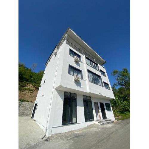 Kültür Suite danışmanlık