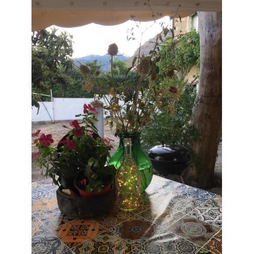 L' Albarosa affittacamere e b&b