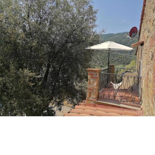 L'11 di Borgo Biagioni