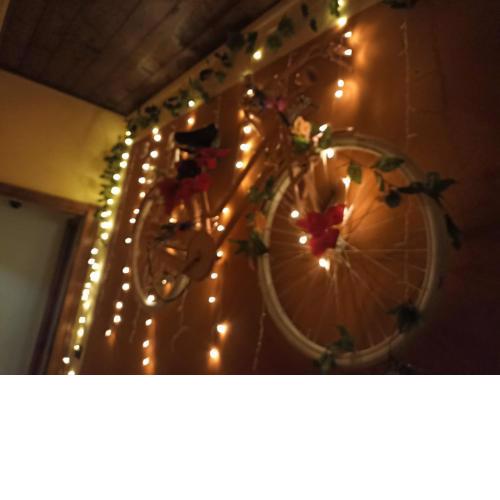 La Bicicletta Rifiorita