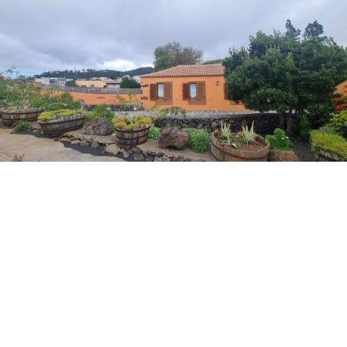 La Bodega