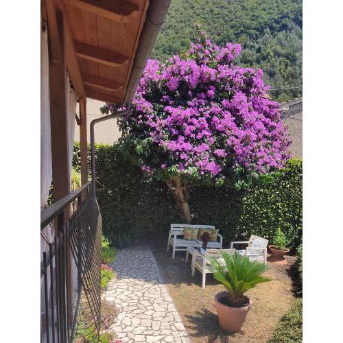 La Bouganville e Il Gelsomino