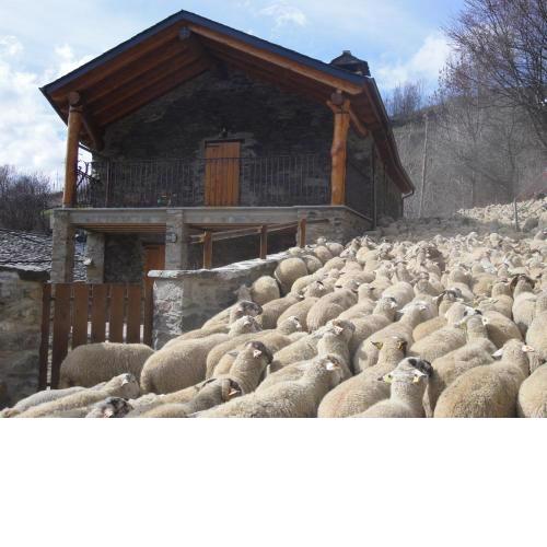 La Cabanya de Cal Forn de Serrat
