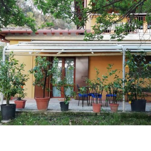 La Cantinetta di Barberino