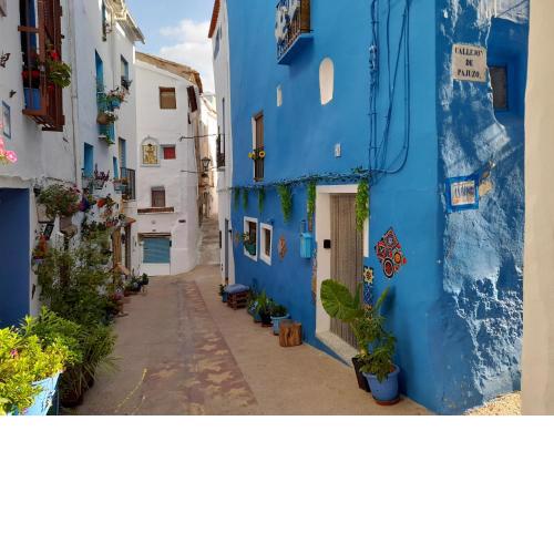 LA CASA AZUL